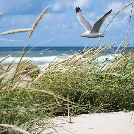 In Near Albertstrand Knokke-Heist