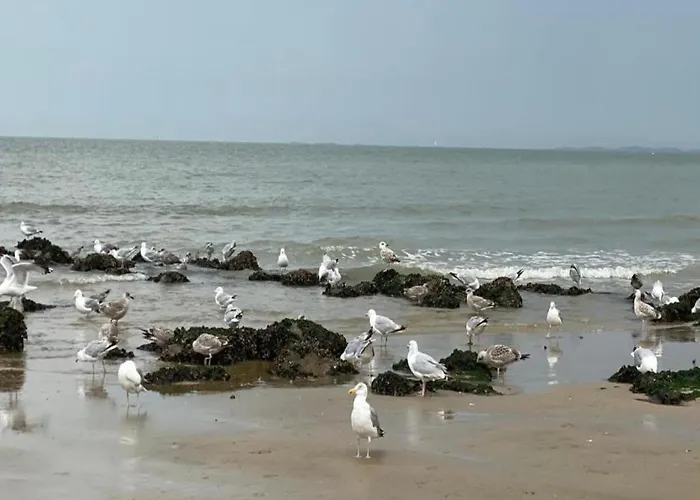 In Near Albertstrand Апартаменты *