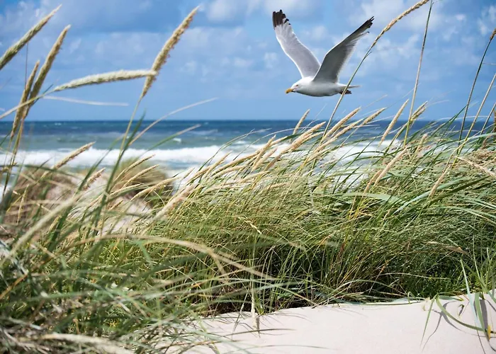 In Near Albertstrand Кнокке-Хейст